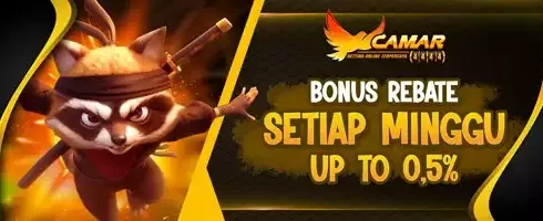 Cashback Mingguan VIP 0.5% promotion